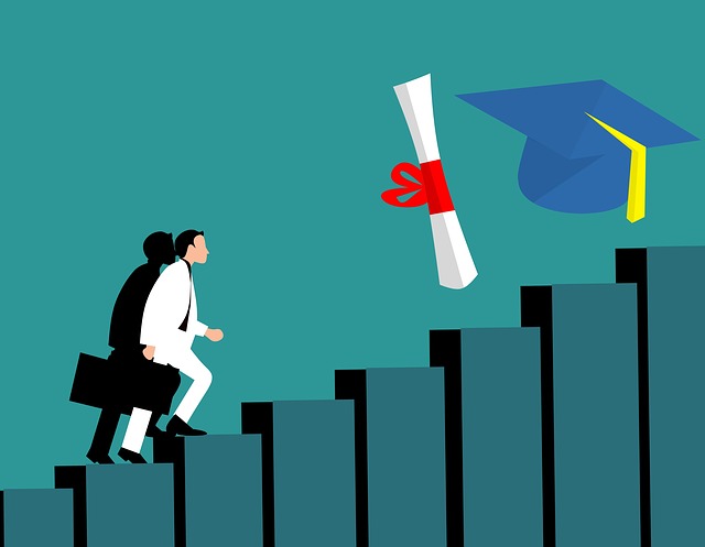 Business Accounting vs. Management: Which diploma is right for you?